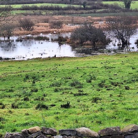 Lough Lea House, Bunnamuca Villa Strokestown ภายนอก รูปภาพ