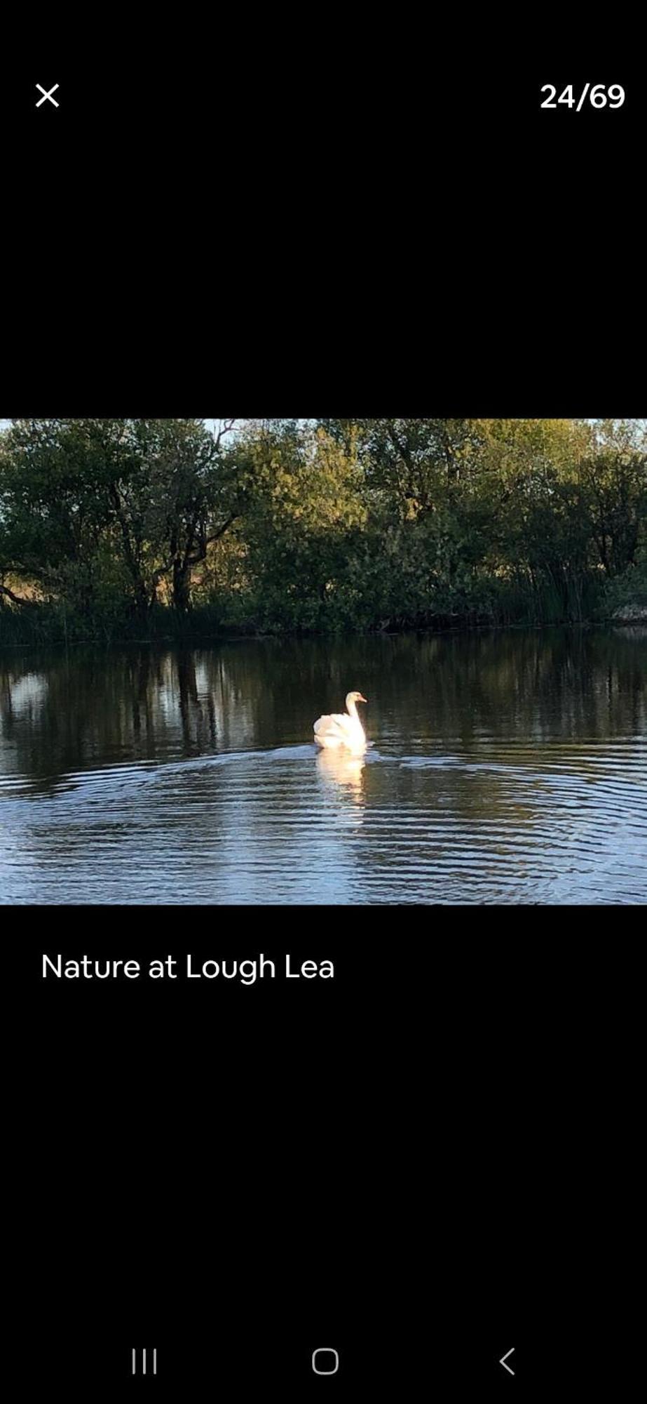 Lough Lea House, Bunnamuca Villa Strokestown ภายนอก รูปภาพ