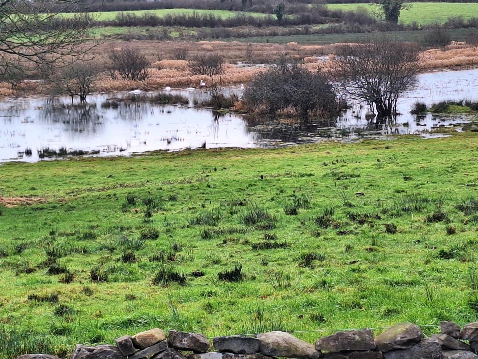 Lough Lea House, Bunnamuca Villa Strokestown ภายนอก รูปภาพ